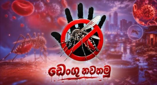 'Stop Dengue Now': Massive Anti-Dengue Campaign